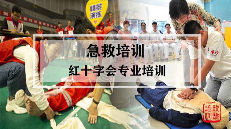 急救培训-红十字会专业培训