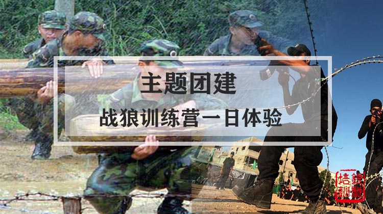  主题团建|战狼训练营一日体验