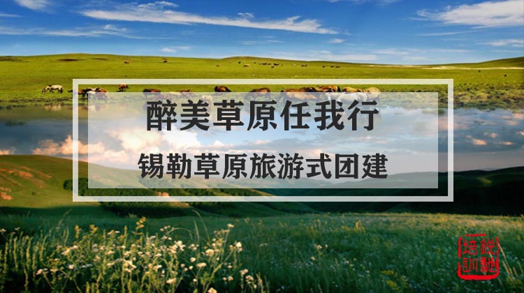 醉美草原任我行 锡勒草原旅游式团建