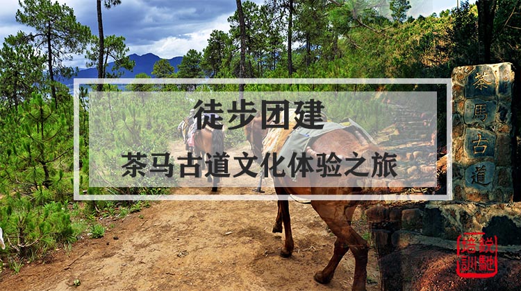  徒步团建|茶马古道文化体验之旅