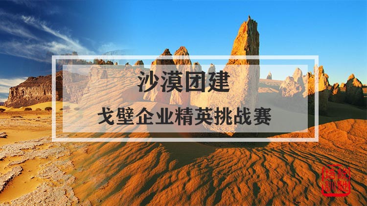 沙漠团建|戈壁企业精英挑战赛