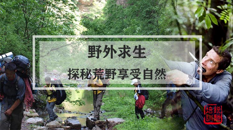 野外求生|探秘荒野享受自然