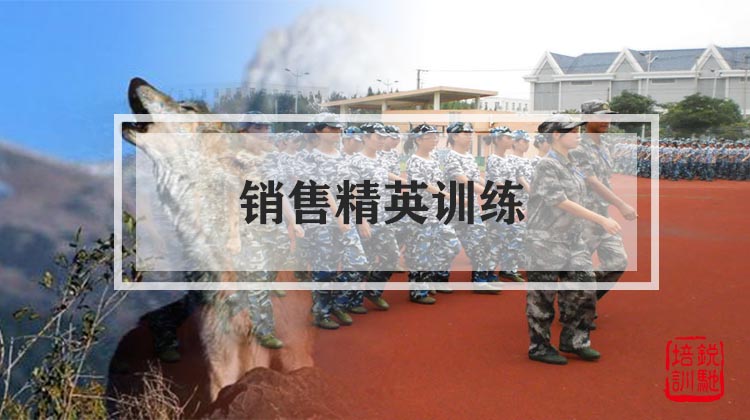 销售精英训练