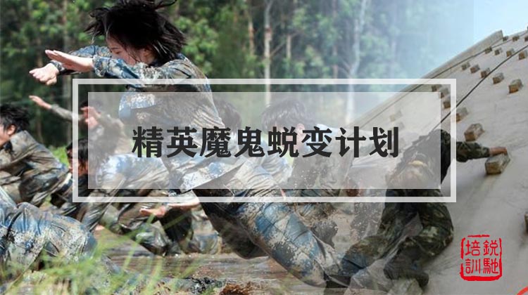 精英魔鬼蜕变计划