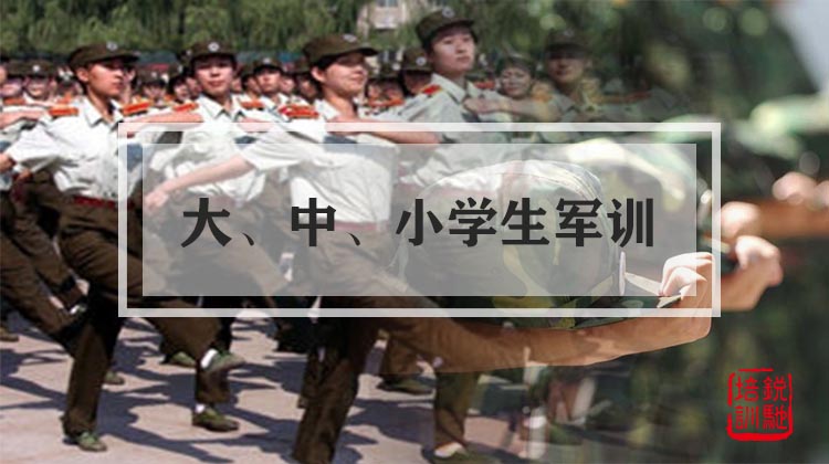 大、中、小学生军训