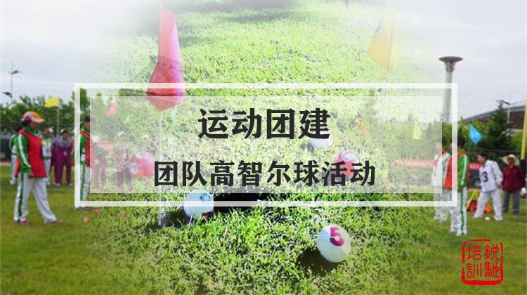 运动团建|团队高智尔球活动
