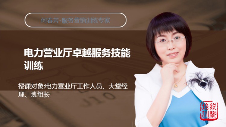 电力营业厅卓越服务技能训练