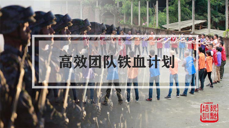 高效团队铁血计划
