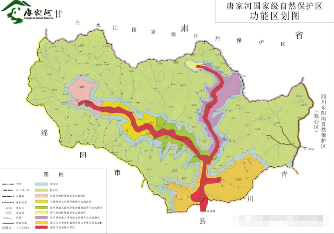 (图2)