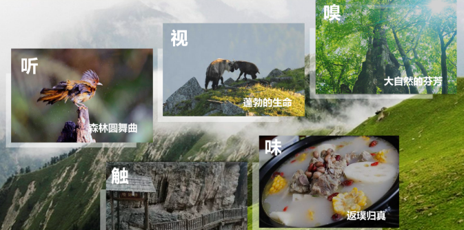 (图1)