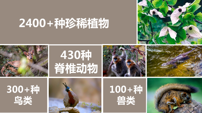 (图4)