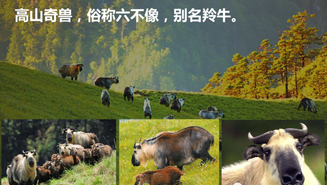 (图10)