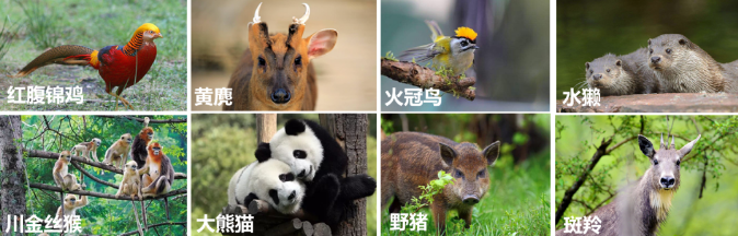 (图7)